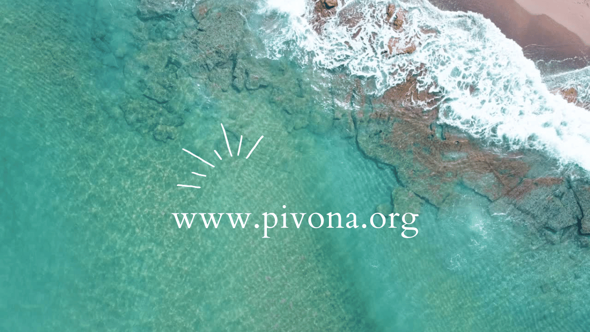 Pivona Üyelik (aylık)